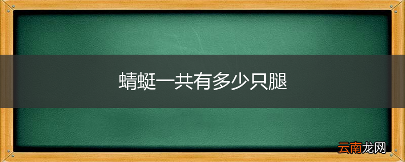 蜻蜓一共有多少只腿