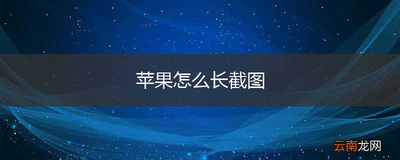 苹果怎么长截图