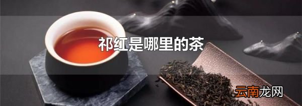 祁红是哪里的茶