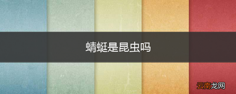 蜻蜓是昆虫吗