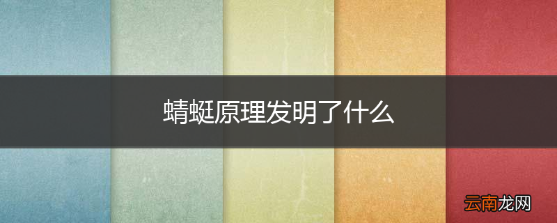 蜻蜓原理发明了什么