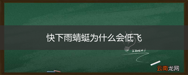 快下雨蜻蜓为什么会低飞