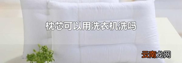 枕芯可以用洗衣机洗吗