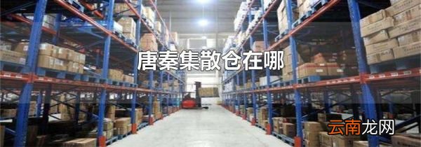 唐秦集散仓在哪