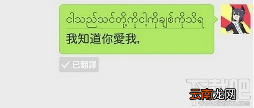 微信长按翻译怎么玩？微信长按翻译密文大全