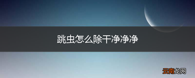 跳虫怎么除干净净净