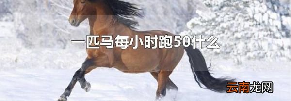 一匹马每小时跑50什么