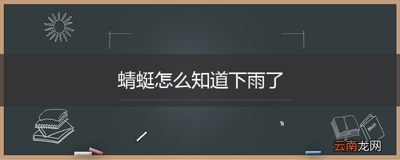 蜻蜓怎么知道下雨了
