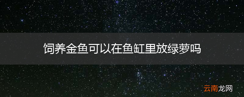 饲养金鱼可以在鱼缸里放绿萝吗