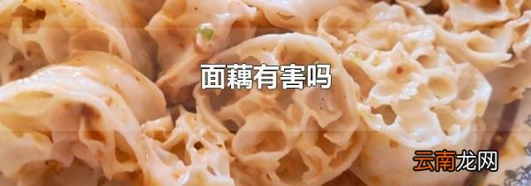 面藕有害吗