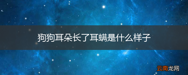 狗狗耳朵长了耳螨是什么样子