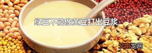 绿豆不能像黄豆打出豆浆