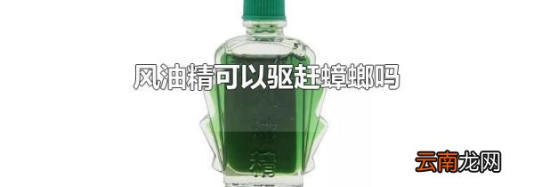 风油精可以驱赶蟑螂吗