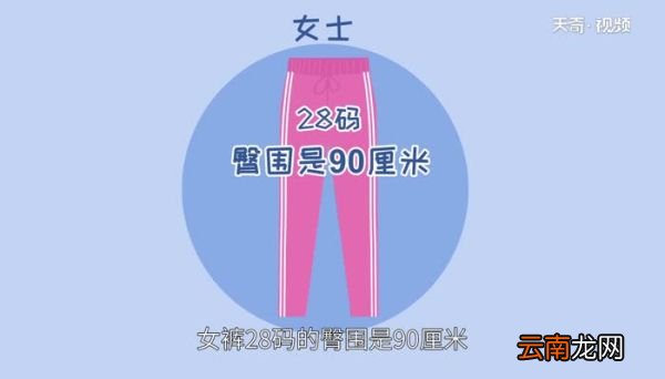 裤子28码是多大臀围 牛仔裤28码臀围是多少