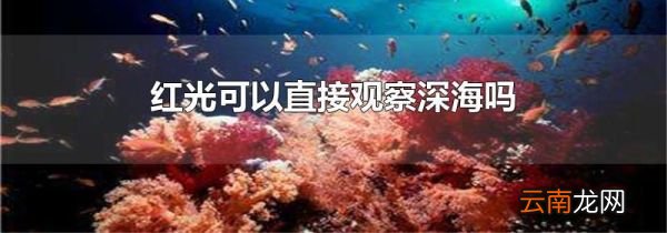 红光可以直接观察深海吗
