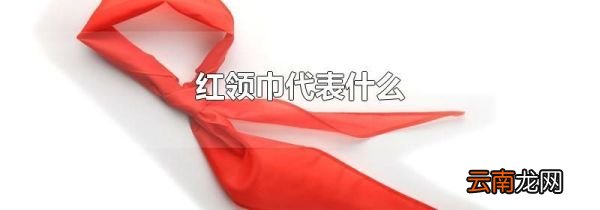 红领巾代表什么