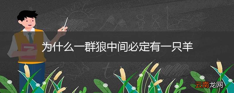 为什么一群狼中间必定有一只羊
