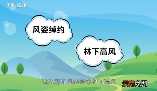 林下之风的意思 林下之风的出处