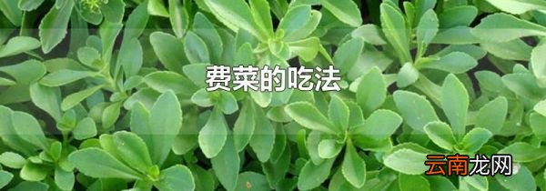 费菜的吃法