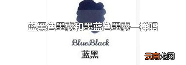 蓝黑色墨囊和墨蓝色墨囊一样吗