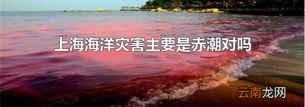 上海海洋灾害主要是赤潮对吗