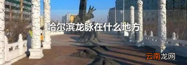 哈尔滨龙脉在什么地方