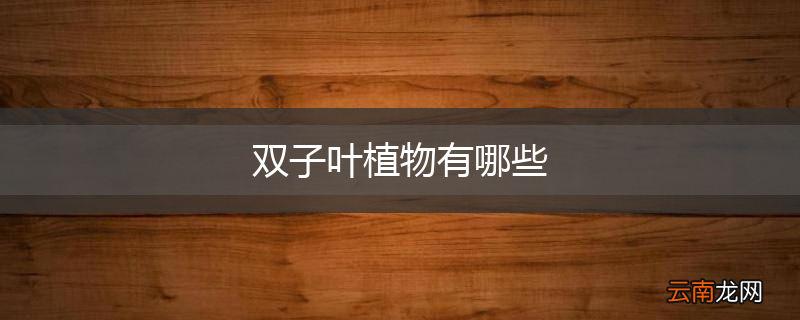双子叶植物有哪些