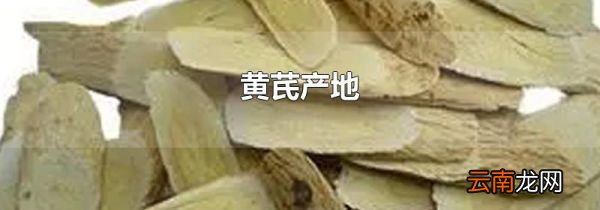 黄芪产地