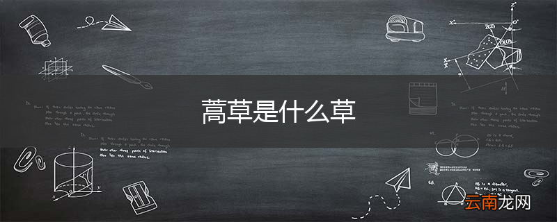 蒿草是什么草