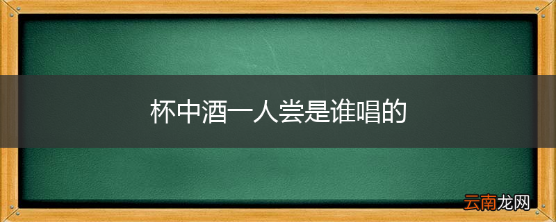 杯中酒一人尝是谁唱的