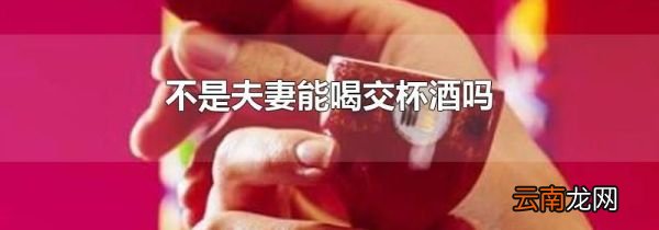 不是夫妻能喝交杯酒吗