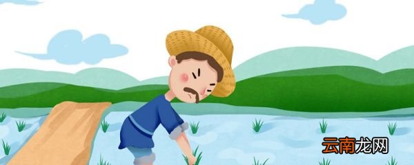 四时田园杂兴是什么意思这首诗 四时田园杂兴这首诗的意思