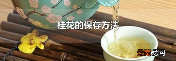 桂花的保存方法