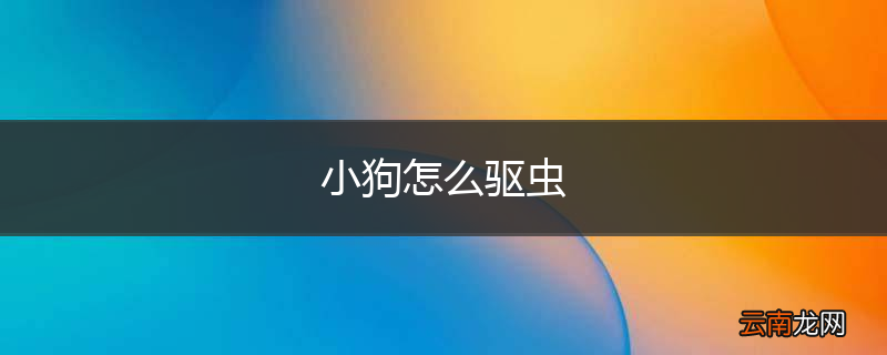 小狗怎么驱虫