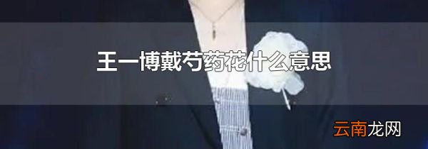 王一博戴芍药花什么意思