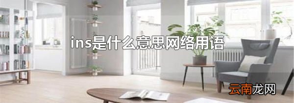 ins是什么意思网络用语