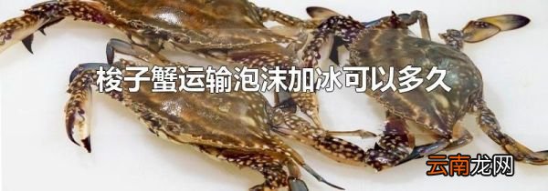 梭子蟹运输泡沫加冰可以多久