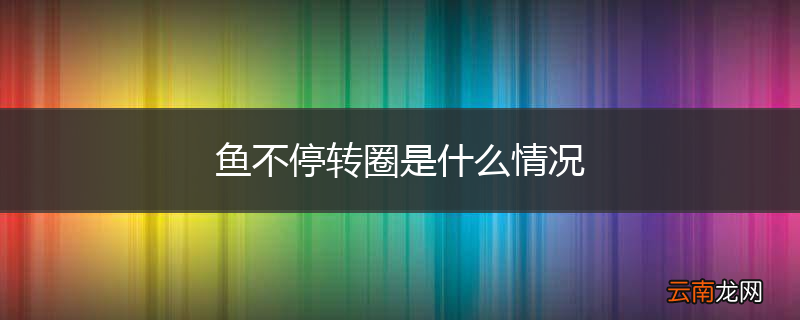 鱼不停转圈是什么情况