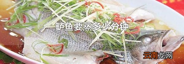 鲈鱼要蒸多少分钟