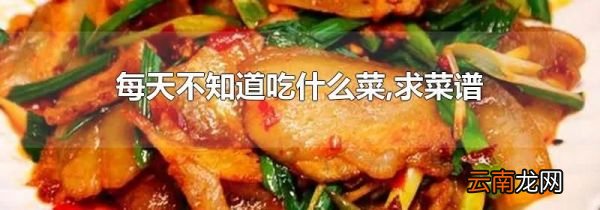 每天不知道吃什么菜,求菜谱