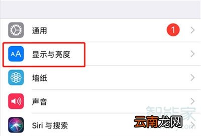 iphone11怎么更改图标大小
