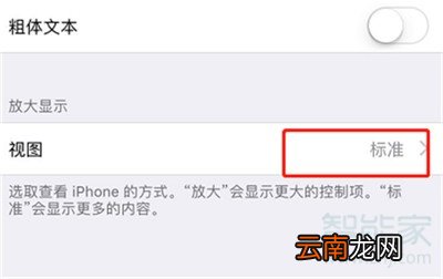 iphone11怎么更改图标大小