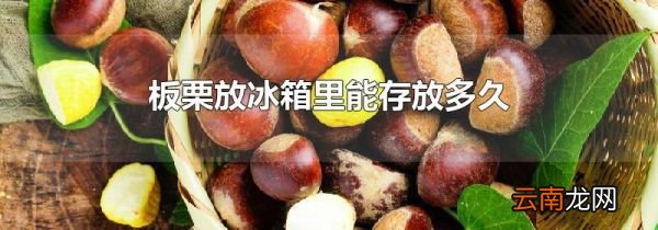 板栗放冰箱里能存放多久