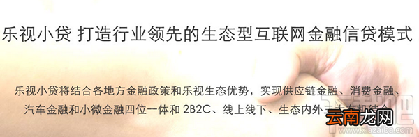 什么是乐视金融？乐视金融平台是什么？