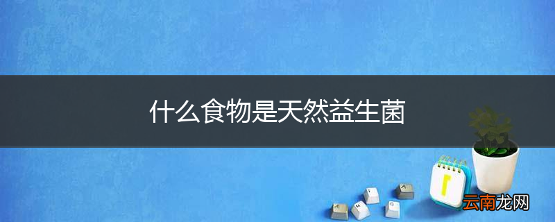 什么食物是天然益生菌