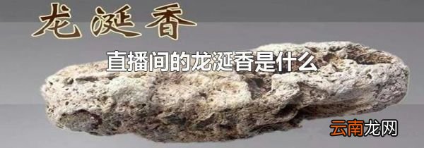 直播间的龙涎香是什么