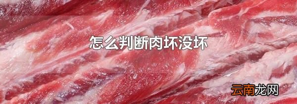 怎么判断肉坏没坏