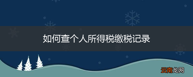如何查个人所得税缴税记录