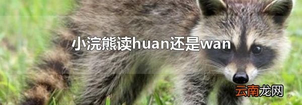 小浣熊读huan还是wan