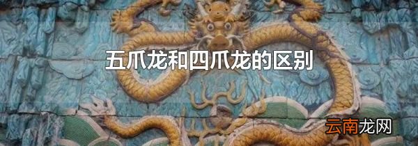 五爪龙和四爪龙的区别